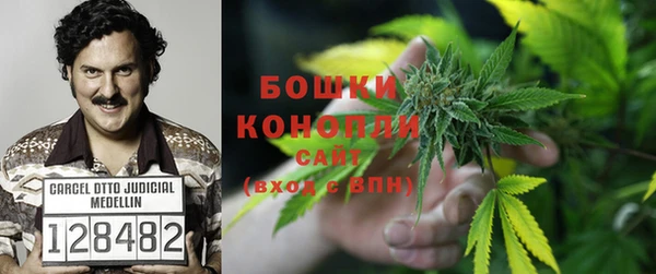 трава Беломорск