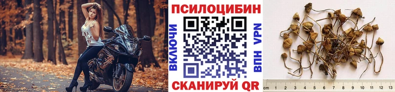 Галлюциногенные грибы Cubensis  купить  сайты  Кукмор 