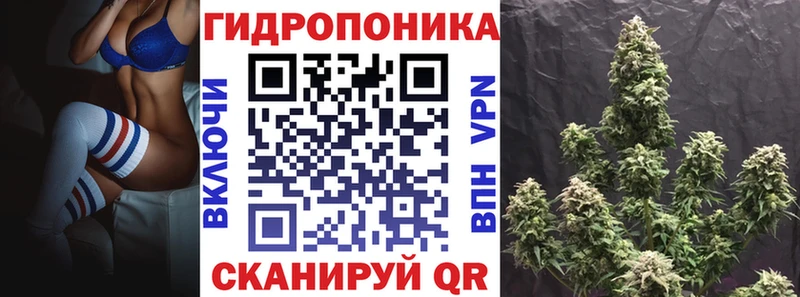 купить закладку  Кукмор  блэк спрут маркетплейс  Бошки Шишки VHQ 